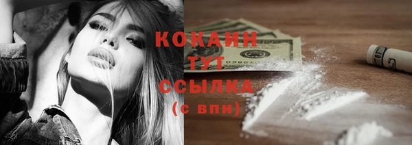 mdpv Елизово