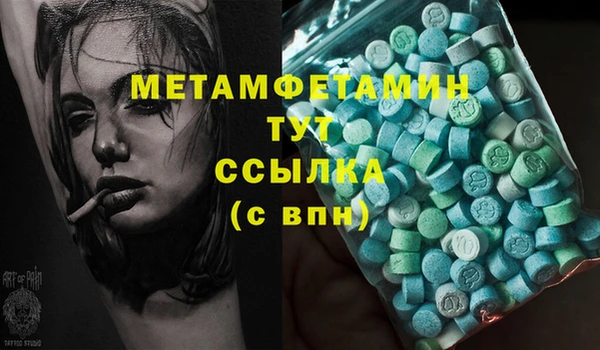 меф Ельня