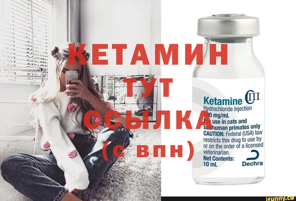 меф Ельня
