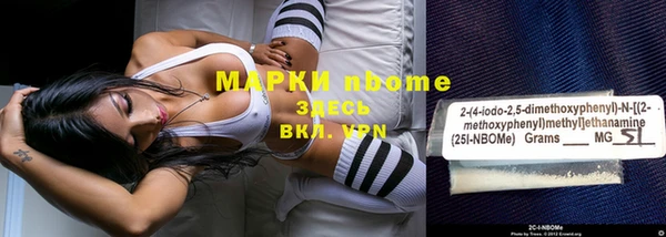 меф Ельня