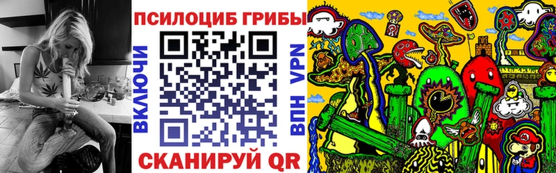 Галлюциногенные грибы Psilocybe  Заринск 